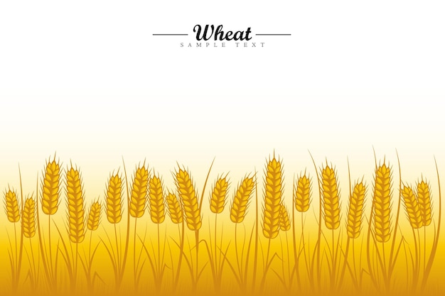 Wheat field background. Golden wheat ears of cereals with wheat tree and wheat leaf
