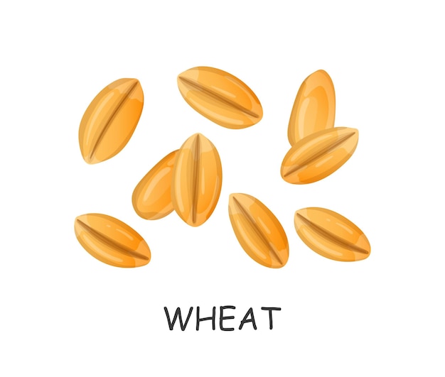wheat seeds hand drawn in cartoon style