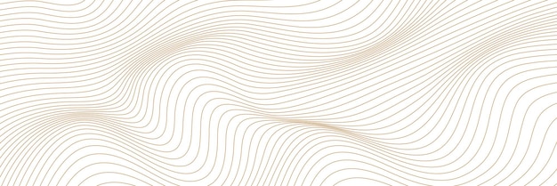 White background with gold line waves Luxury banner background Vector illustration