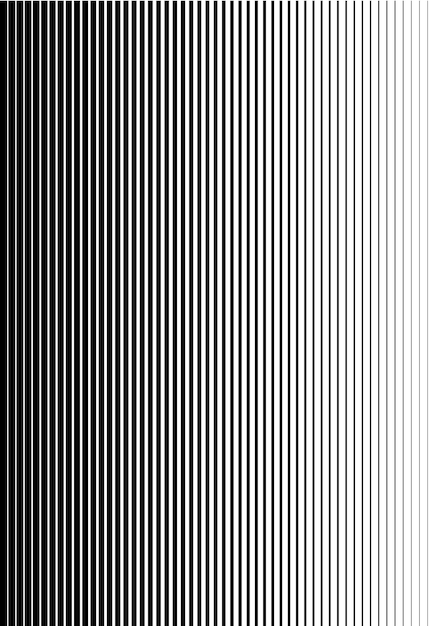 White black color Linear background Design elements Poligonal lines Protective layer for banknotes certificates template Vector Vector lines of different thicknesses from thin to thick EPS 10