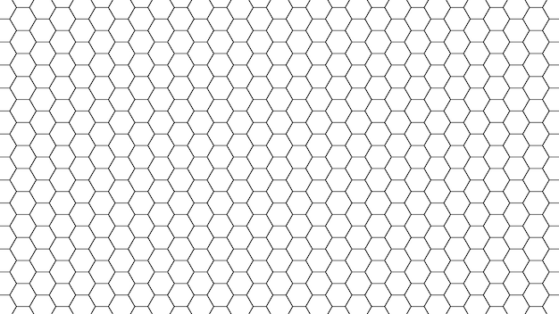 White Hexagon Background Futuristic Design Vector