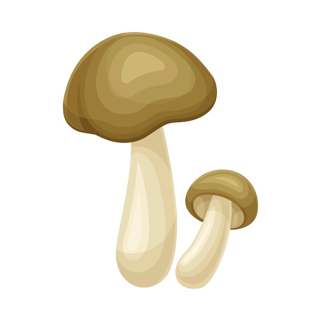 Wild forest mushroom vector illustration on white background