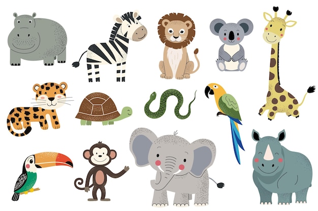 wild jungle animals african zebra leopard elephant giraffe hippopotamus rhino toucan hand drawn safari animals
