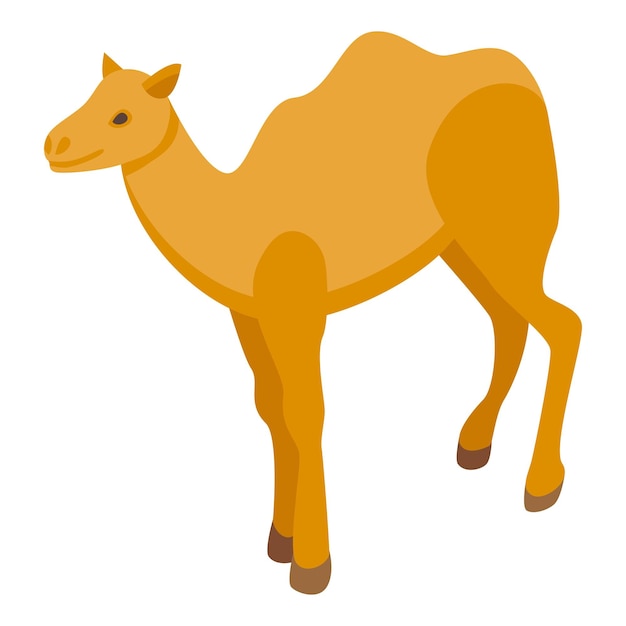 Wildlife camel icon Isometric of Wildlife camel vector icon for web design isolated on white background