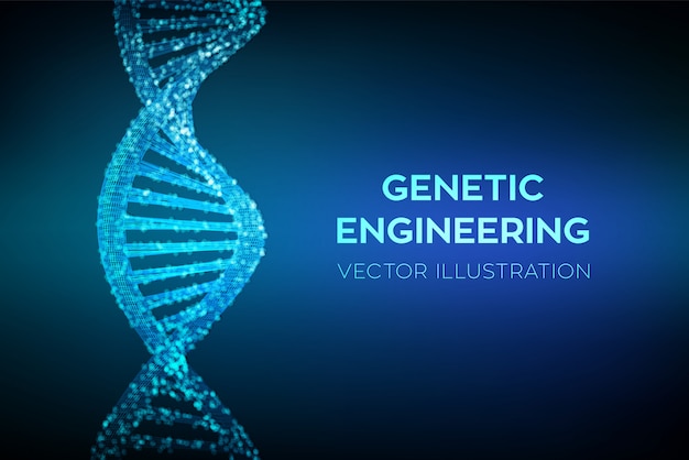 Wireframe DNA-sekvens,