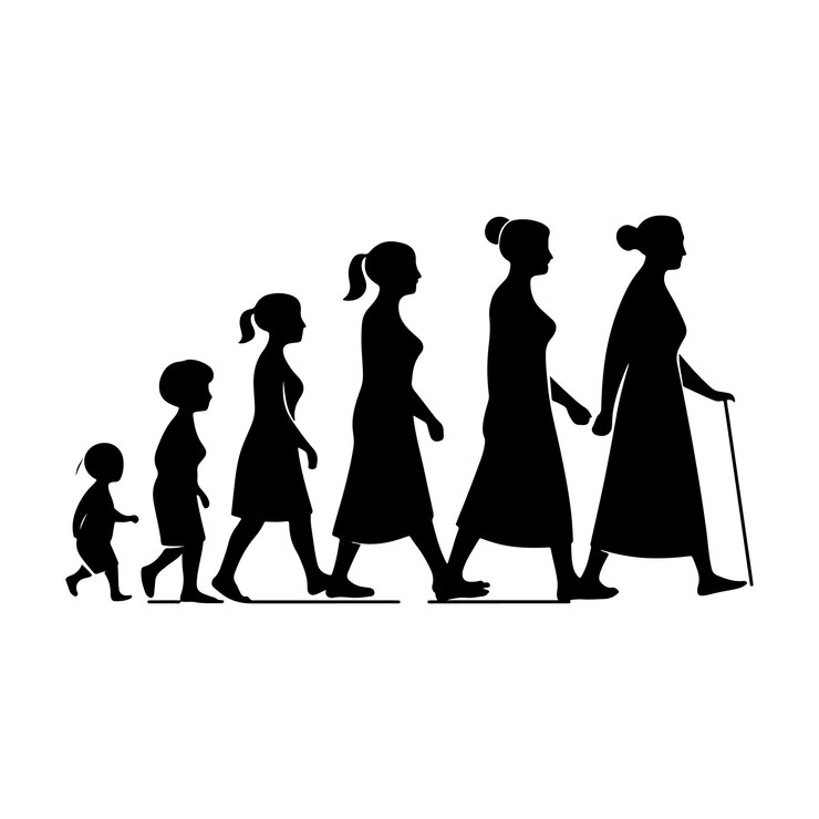 Women growing up Childrens to elders silhouette vector illustration on white background