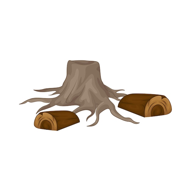 Wood illustration