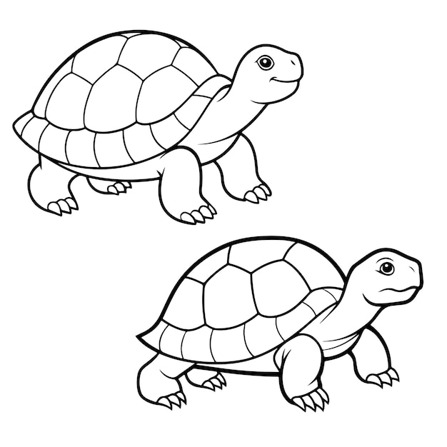 Wood Turtle hand drawn coloring page and outline vector design
