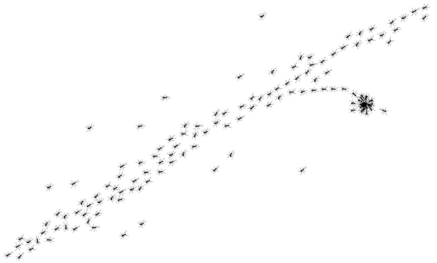 Worker ants trail line flat style design vector illustration isolated on white background