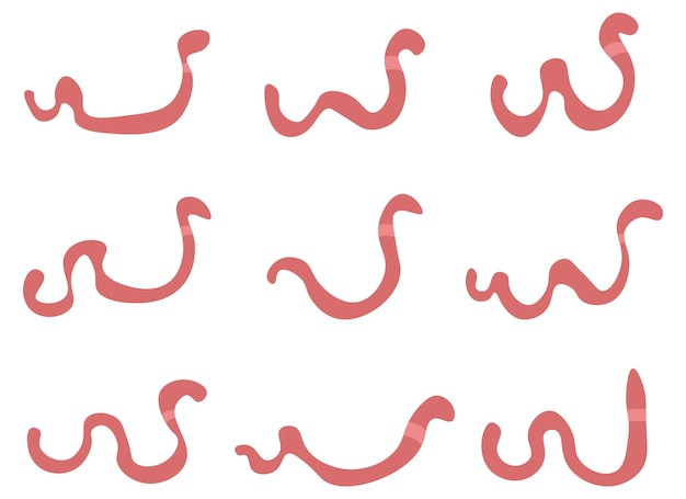 worm design illustration isolated on white background