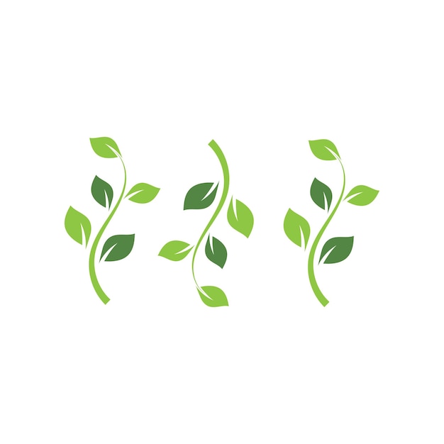 Yaprak yaprakları logo yeşil vektör resmi