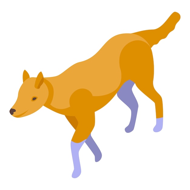 Zoo wild dog icon isometric vector African mammal Safari nature
