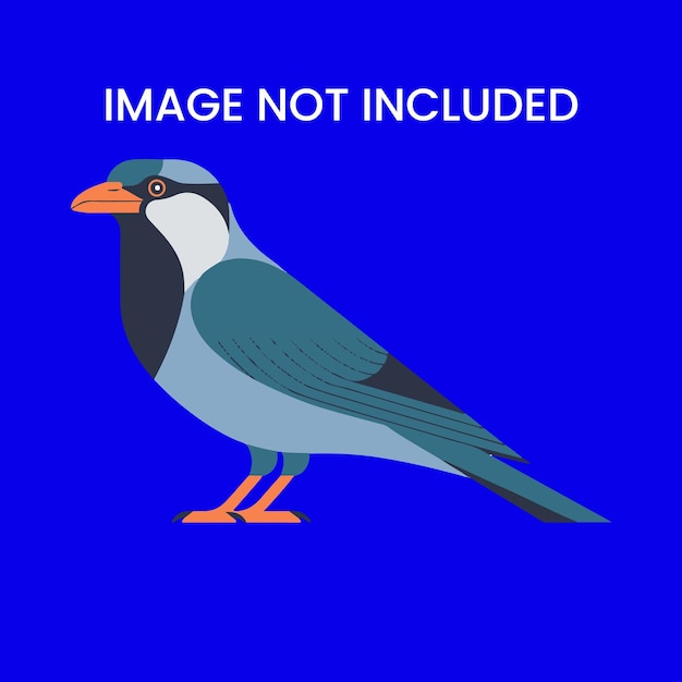 a bird with a picture of a bird that says quot a picture of a bird quot