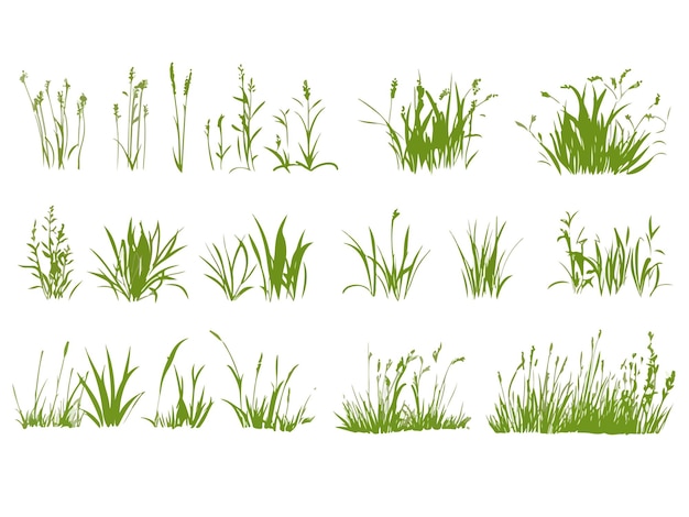 a collection of grass that has the word  grass  on it