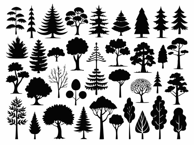 a collection of trees from the book by john lewis