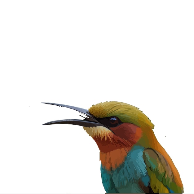 a colorful bird with a long beak that says quot bird quot