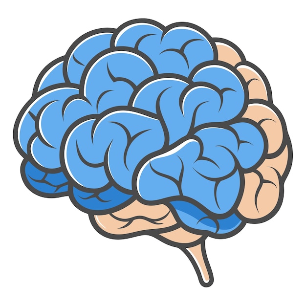 a drawing of a brain that has blue and white letters on it