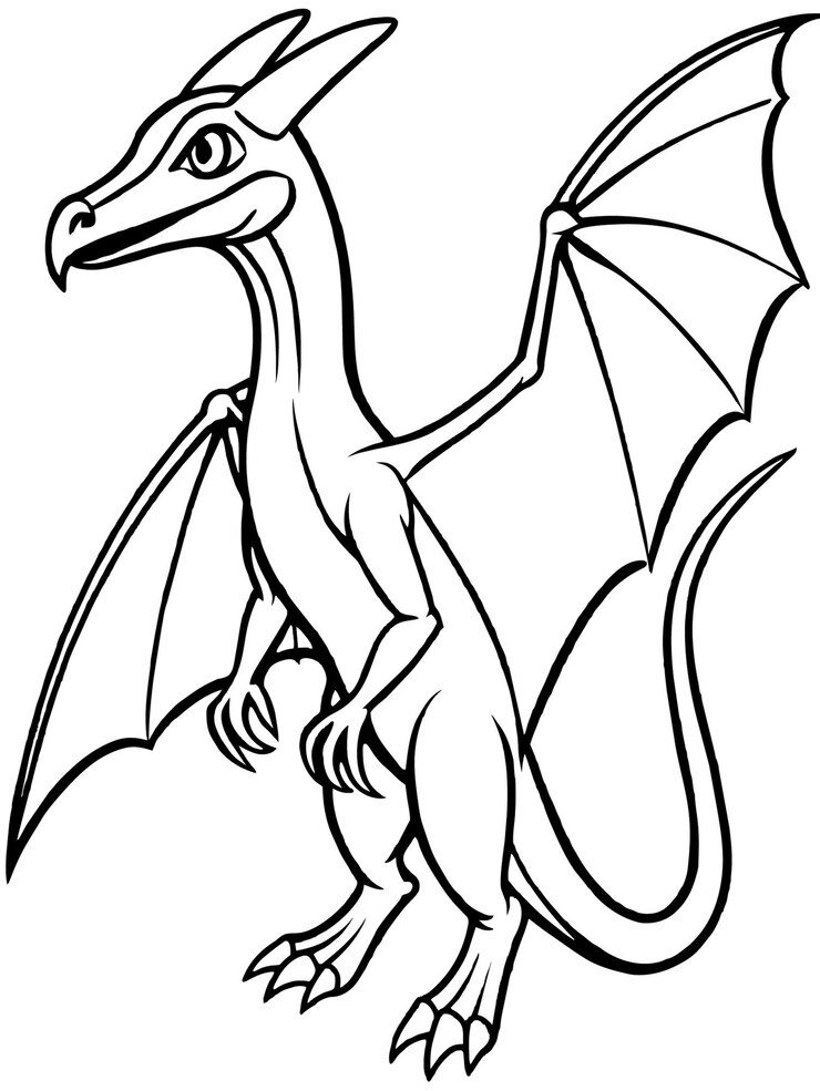 a drawing of a dragon with a white background