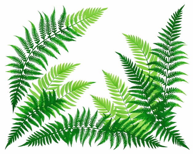 a green plant with green leaves on it