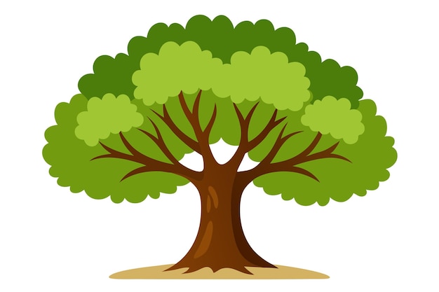 a oak tree vector illustration