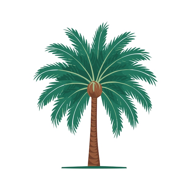 a palm tree is shown with a picture of a palm tree