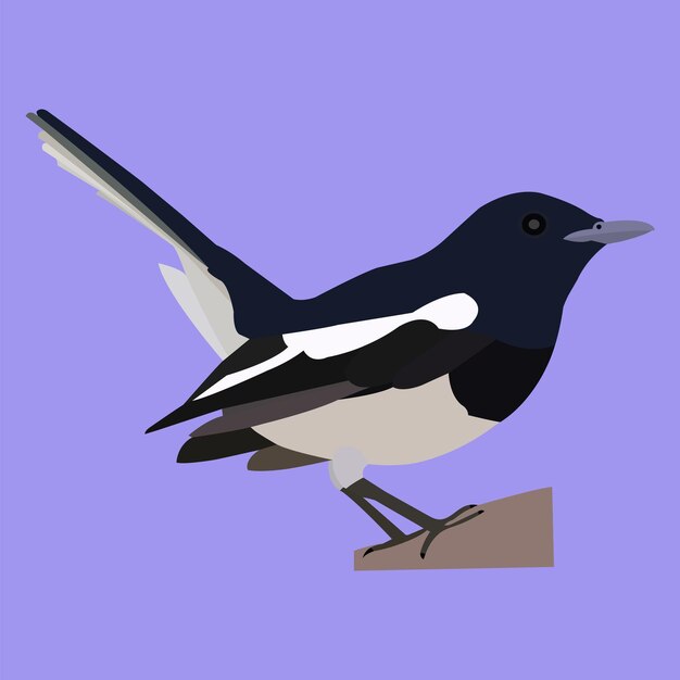 A Pretty bird vector artwork
