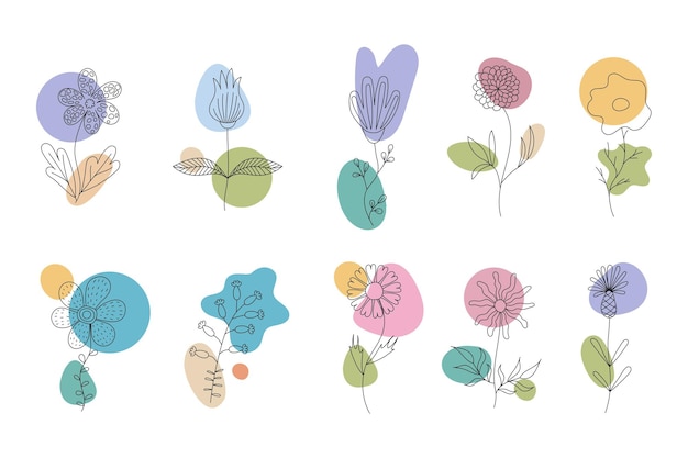 A set of flowers in the style of line art with color spots vector illustration