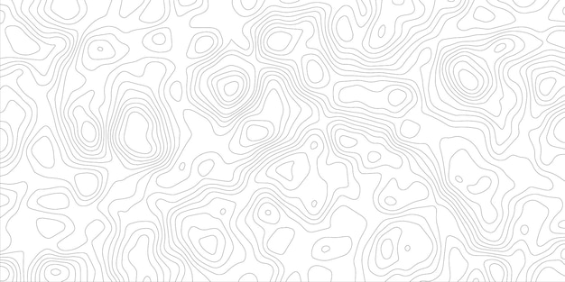 Abstract background vector and topographic pattern line map background. wavy papercut background