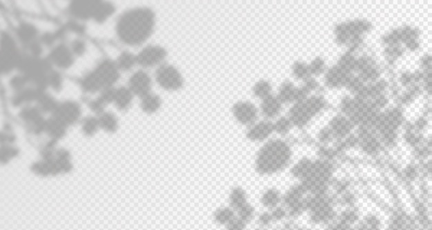abstract background with a pattern of circles and the text on a transparent background