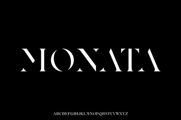 Abstract elegant serif stencil type alphabet display font vector Unique typography style