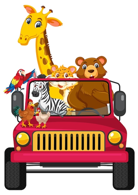 animal travel by car isolated