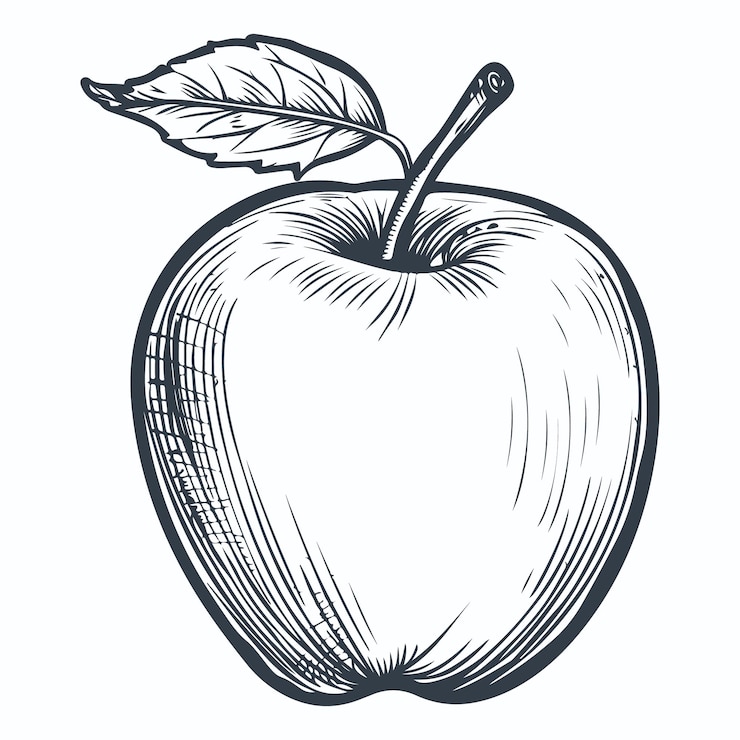 Vektor apple vintage woodcut drawing vector