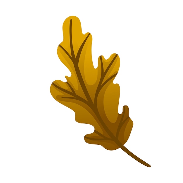Autumn oak leaf vector icon cartoon fallen leaves brown dry leaf of a tree design element isolated natural object on white background sign or symbol Line art sheet
