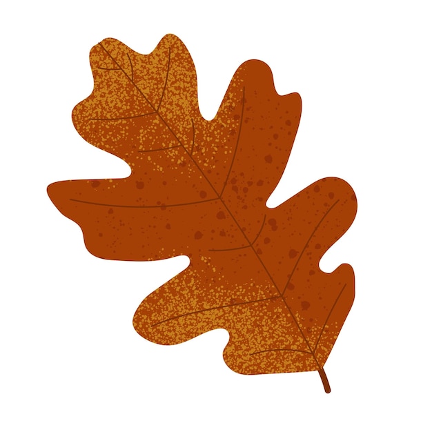 Autumn oak leaf with grain texture isolated on white background Flat vector illustration