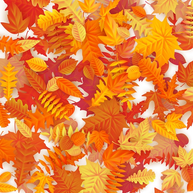 Background of colored wet autumnal maple leaves. 