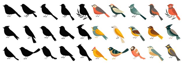 bird feathers multicolored seamless pattern in flat style vector
