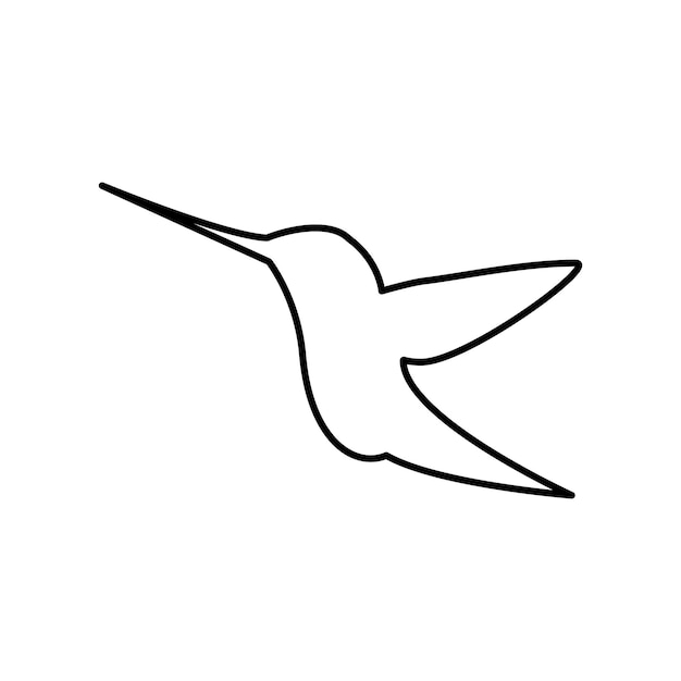 Bird illustration