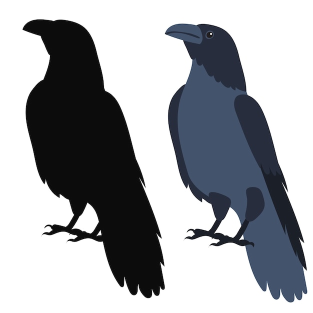 Bird raven flat design isolated vector