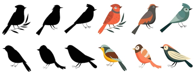 birds of different breeds set on white background vector