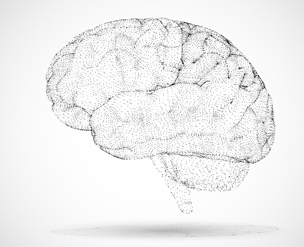brain 01bl converted