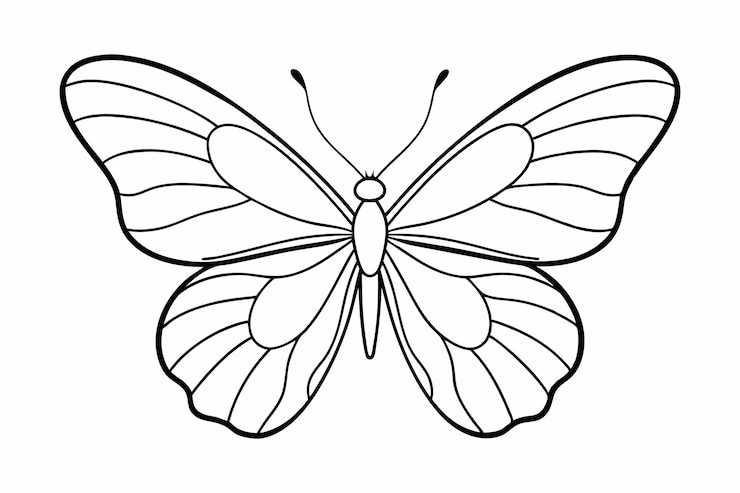 Vektor butterfly line art drawing