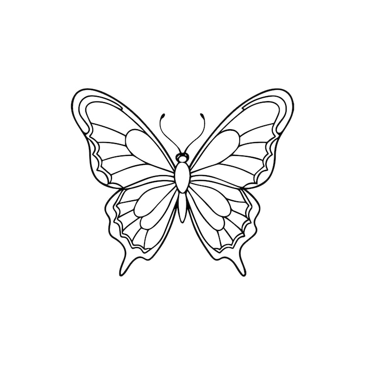 Vektor butterfly line art vector