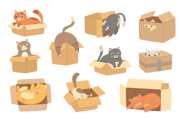 Cartoon cats in cardboard box Felines play with boxes adopt kittens and funny packed cats vector illustration set