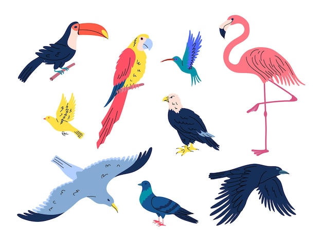 Cartoon Color Different Flying Birds Set Vector