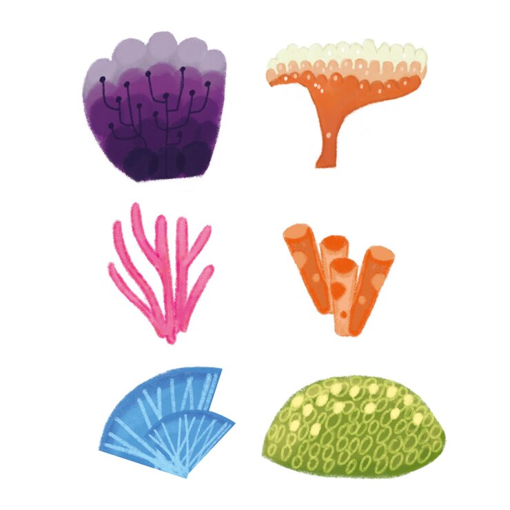 Chalk Style of Seaweed Set