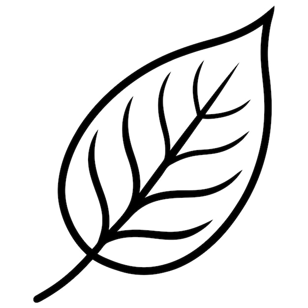 Charm Leaf Vector art Illustration Design for natural content