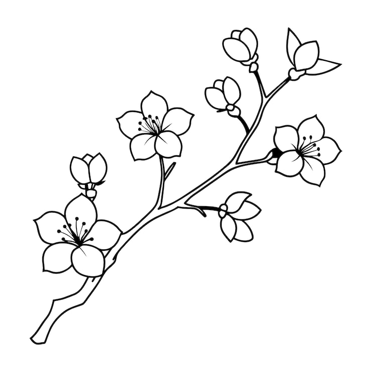 Vektor cherry blossom branch with hand drawn blooming flowers and leaves