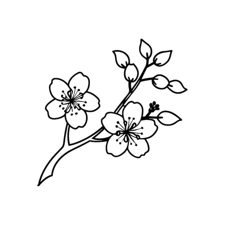 Vektor cherry blossom