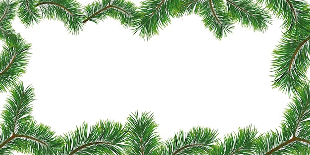 christmas background with fir branches. frame and copyspace