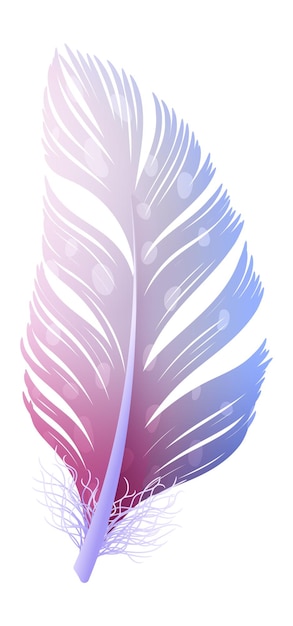 Colorful quill. Curved fluffy feather in tribal boho style isolated on white background